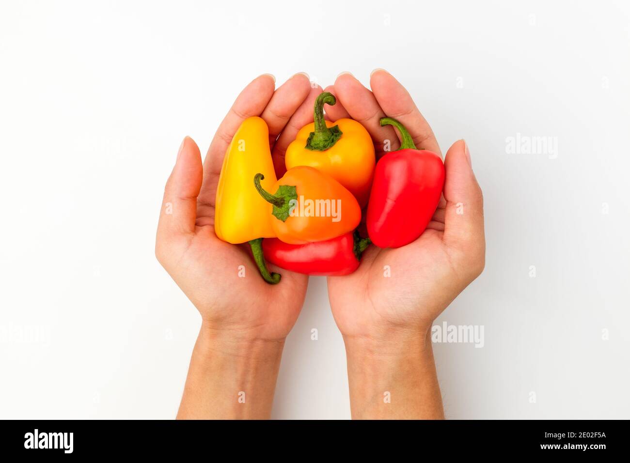 Small paprika. Paprika in multiple colors. Sweet and crispy vegetables