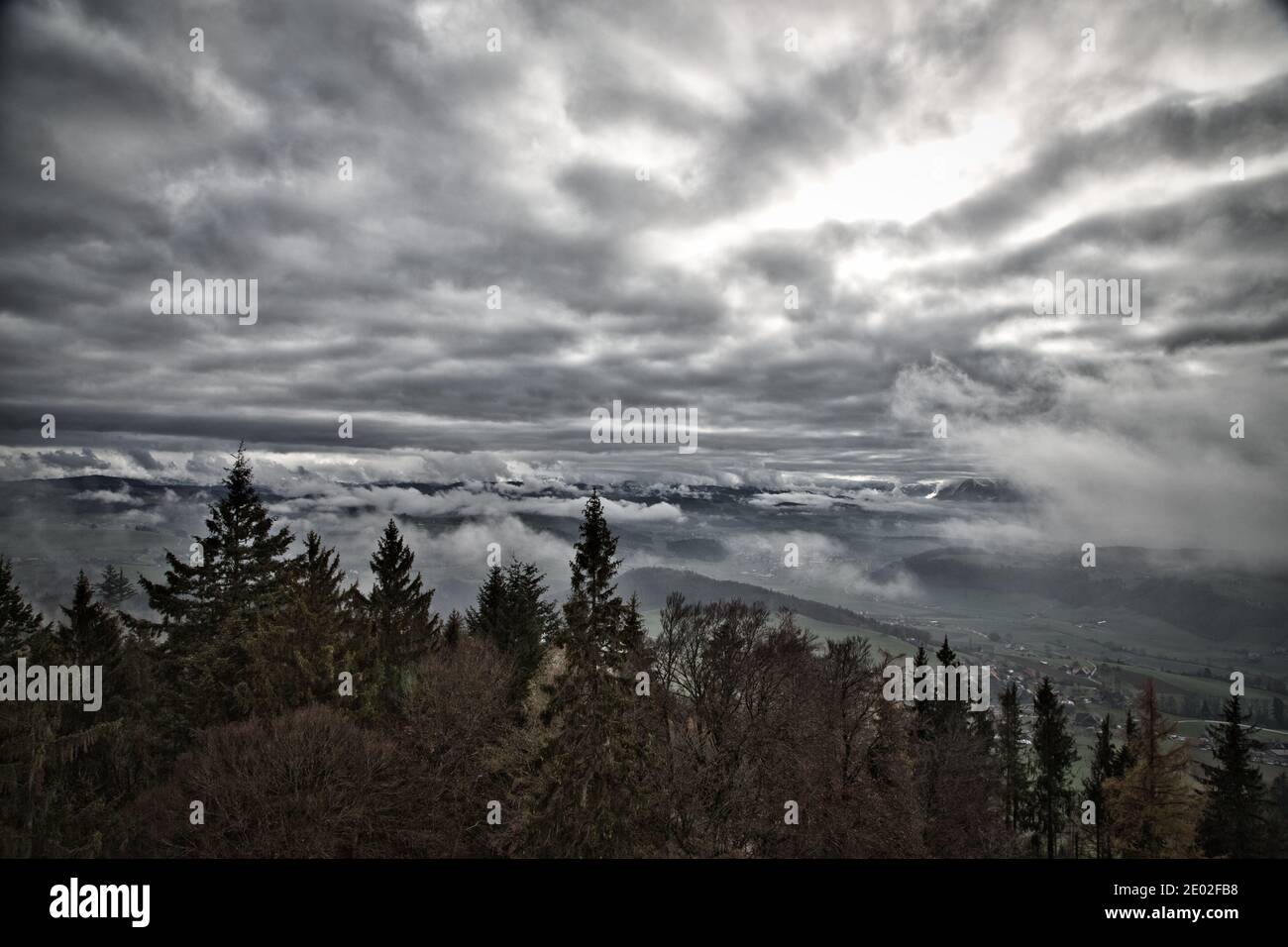 a forest and a cloudy sky Stock Photo - Alamy