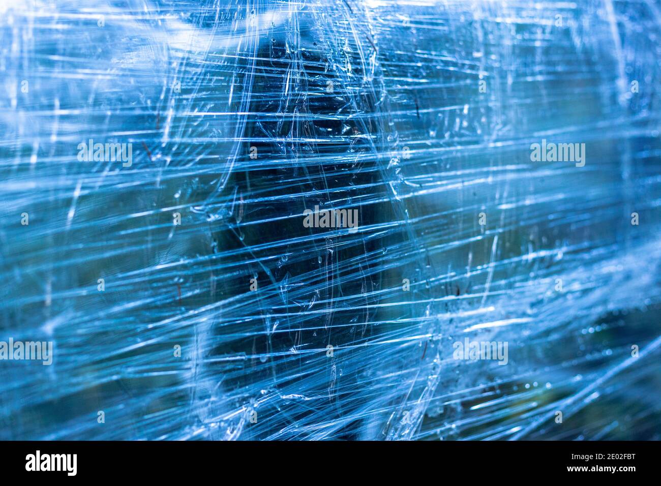 Plastic wrap on trees in the forest Stock Photo Alamy
