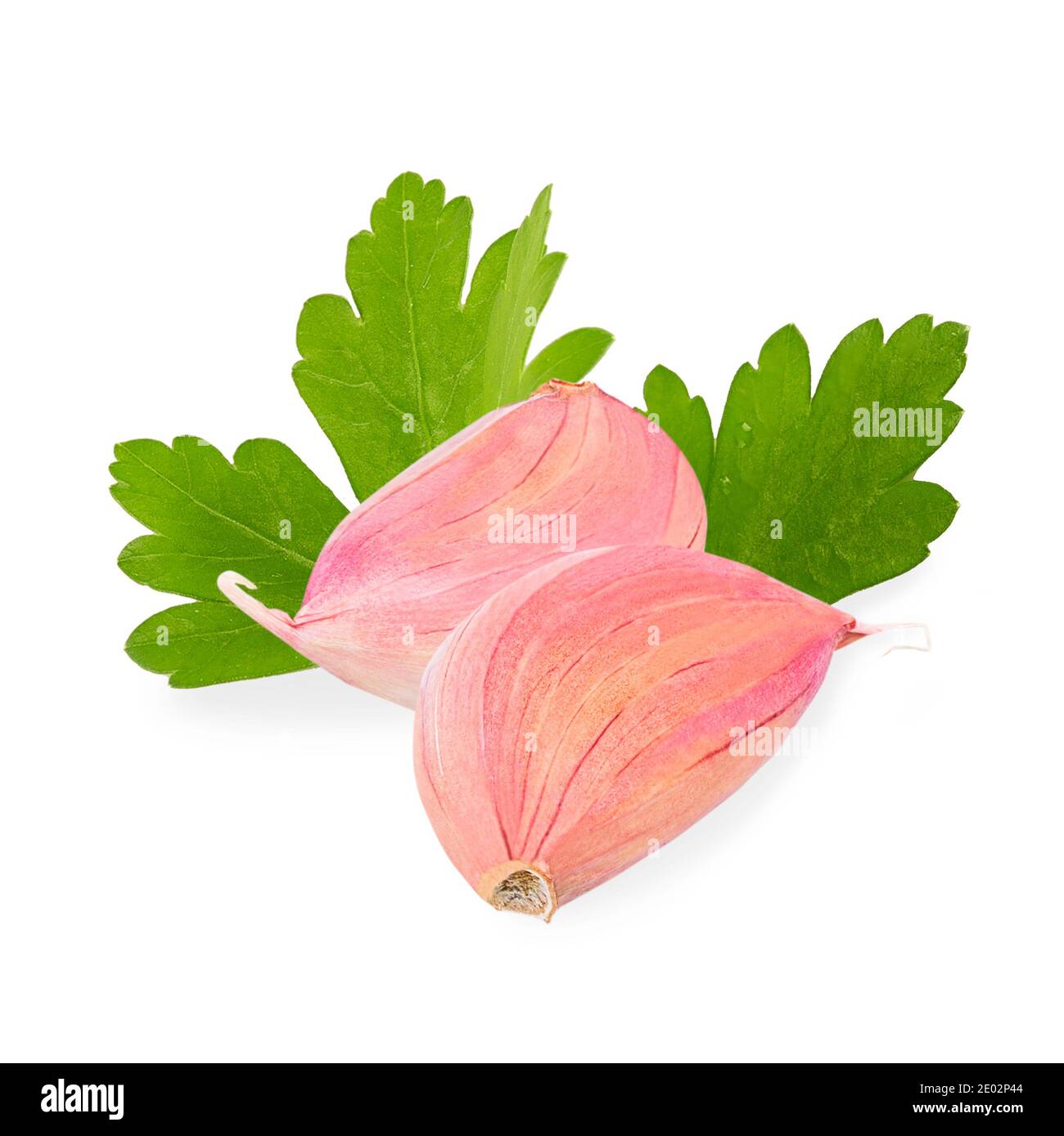 Fresh garlic and parsley leaves isolated on white Stock Photo - Alamy