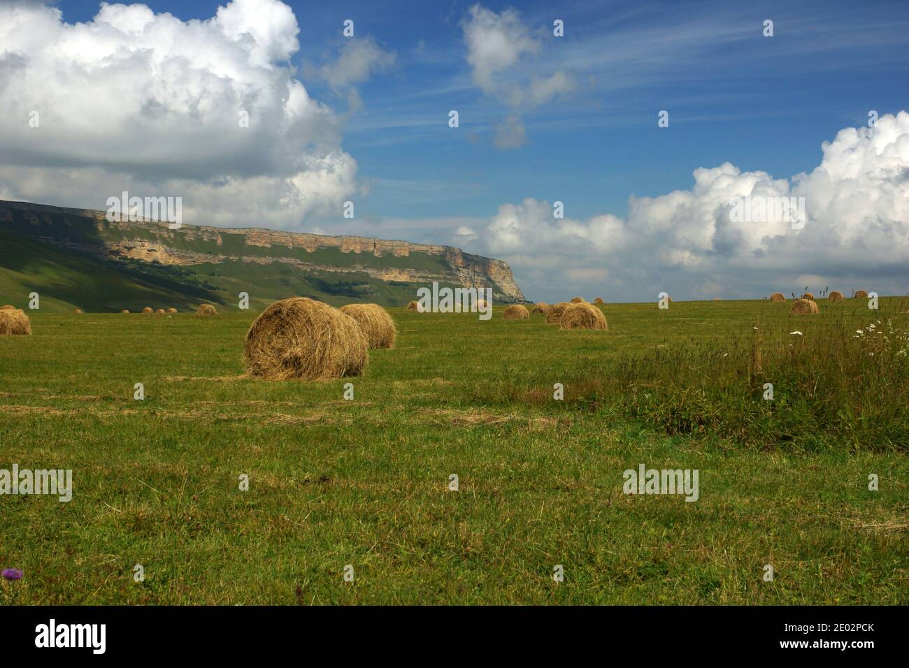 Field full of straw bales in pass Gumbashi, Karachay-Cherkessia, Karachayevsky District, Vеrkhnyaya Mara village, Caucasus Mountains, Russia Stock Photo