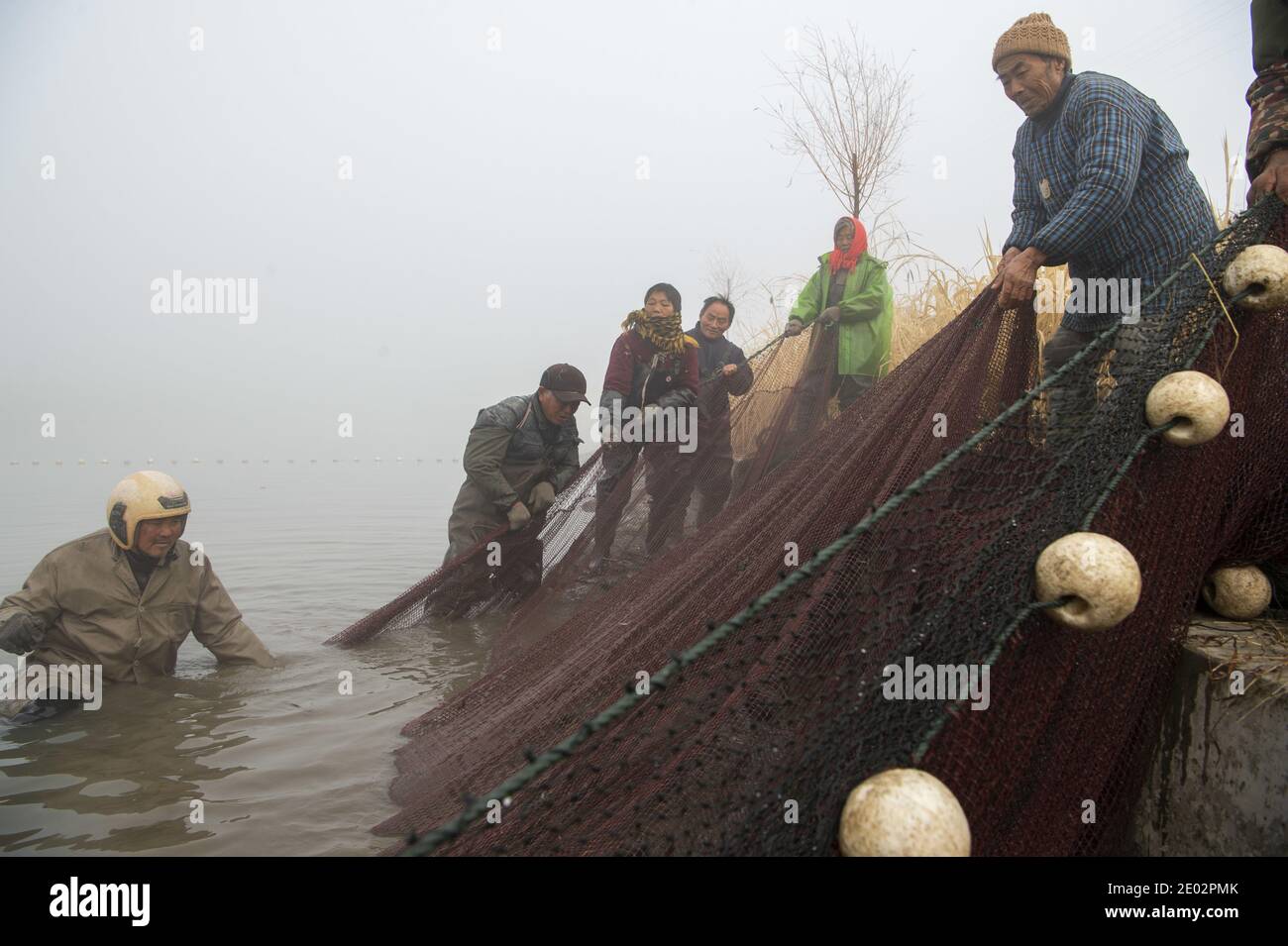 Freshwater fish aquaculture china hi-res stock photography and images ...