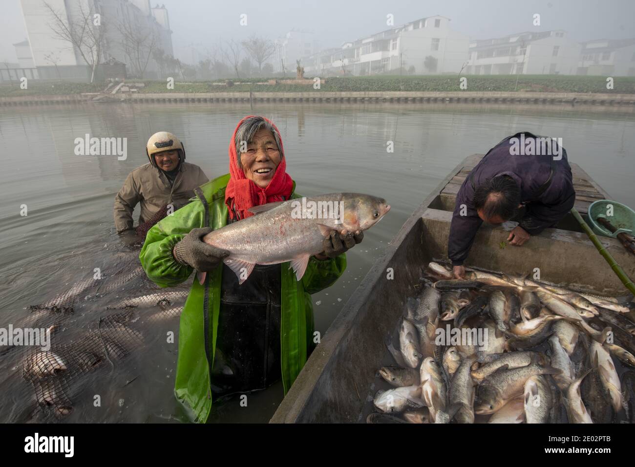 Freshwater fish aquaculture china hi-res stock photography and images ...