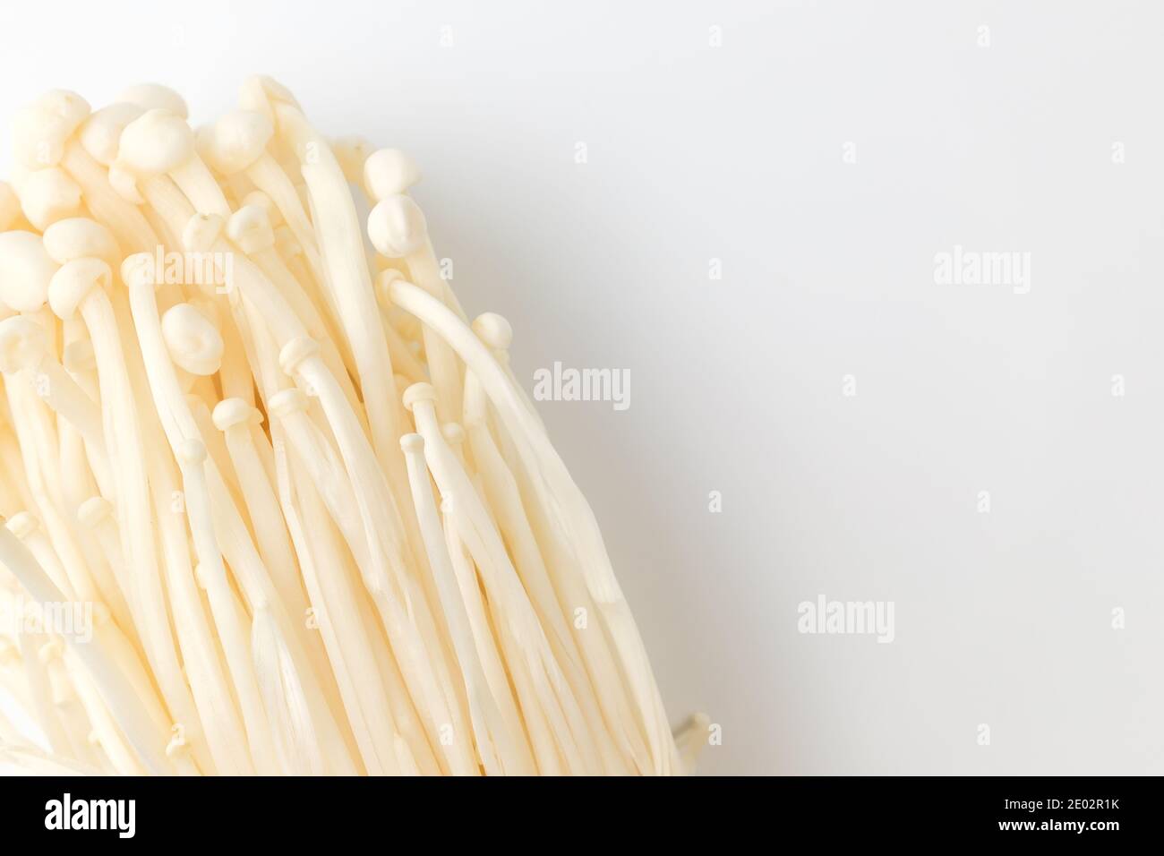 Thin mushrooms. Chewy mushroom. Plants growing on trees Stock Photo Alamy