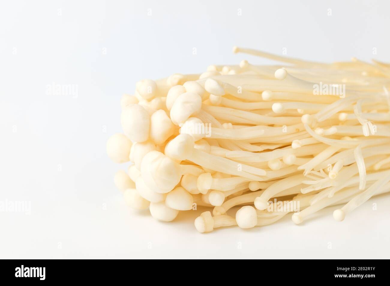 Thin Mushrooms High Resolution Stock Photography and Images Alamy