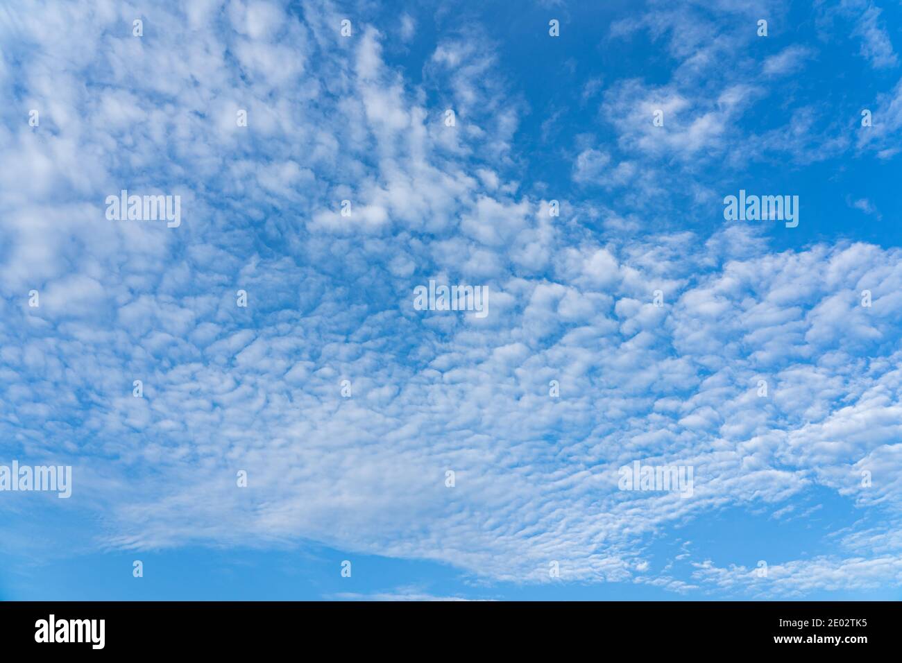 Mackerel sky or buttermilk sky of altocumulus clouds Stock Photo Alamy