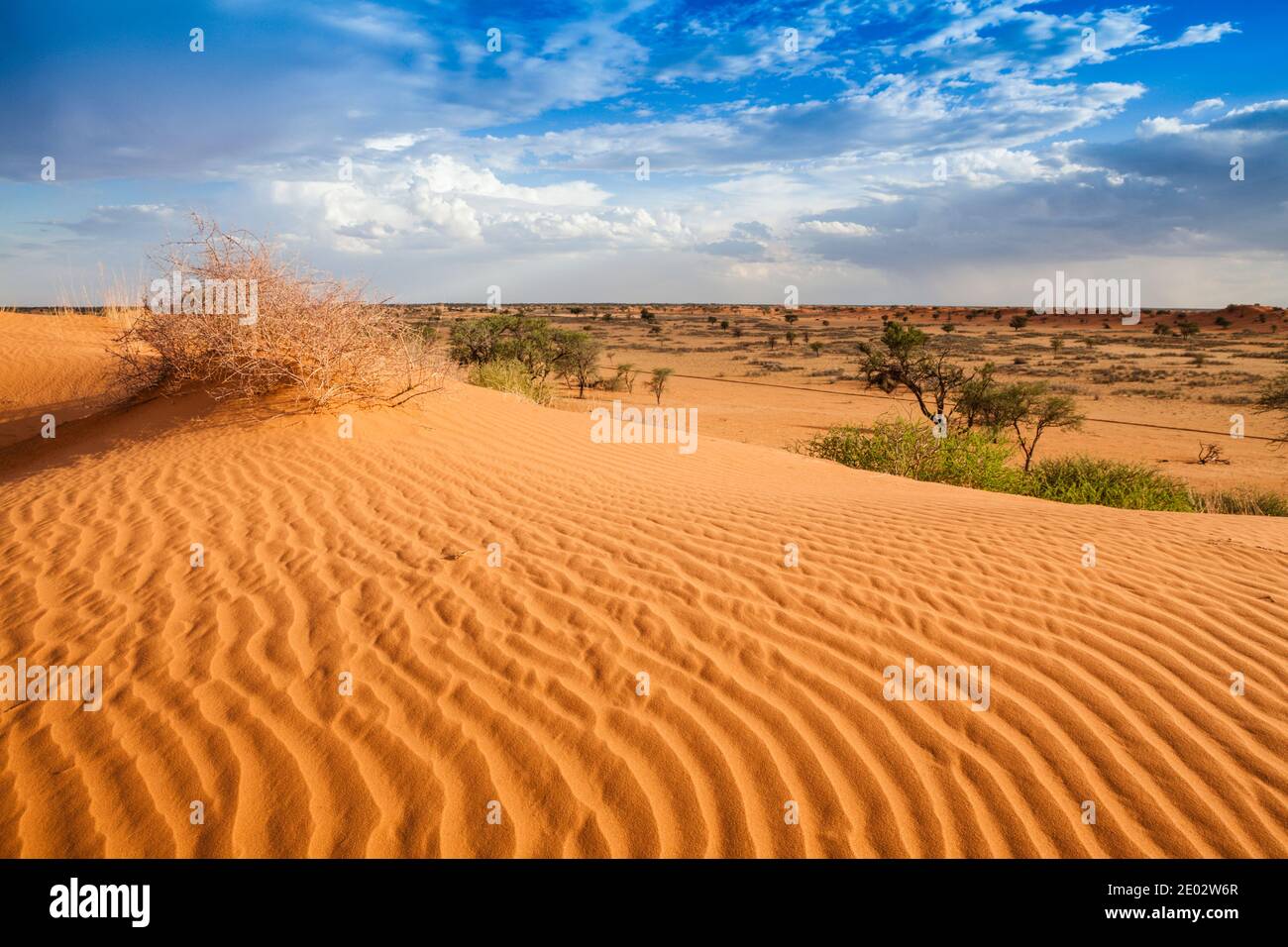 Desert Landscape near Kalkrand, Kalahari Basin, Namibia Stock Photo