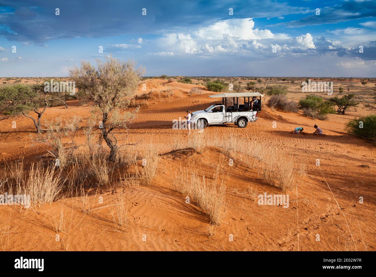 Desert Landscape near Kalkrand, Kalahari Basin, Namibia Stock Photo