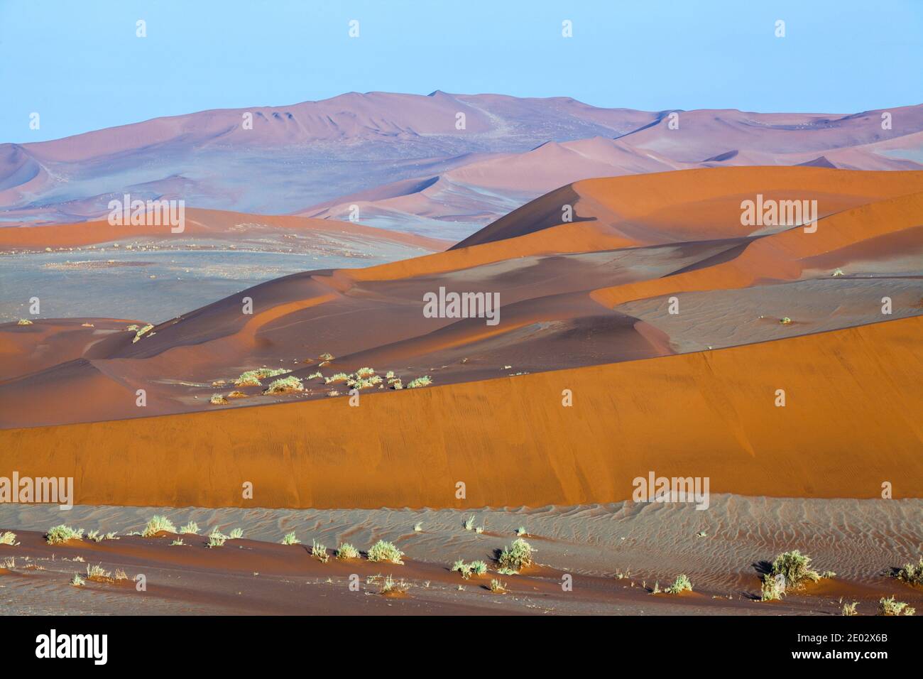 Dunes in Sossusvlei Area, Namib Naukluft Park, Namibia Stock Photo