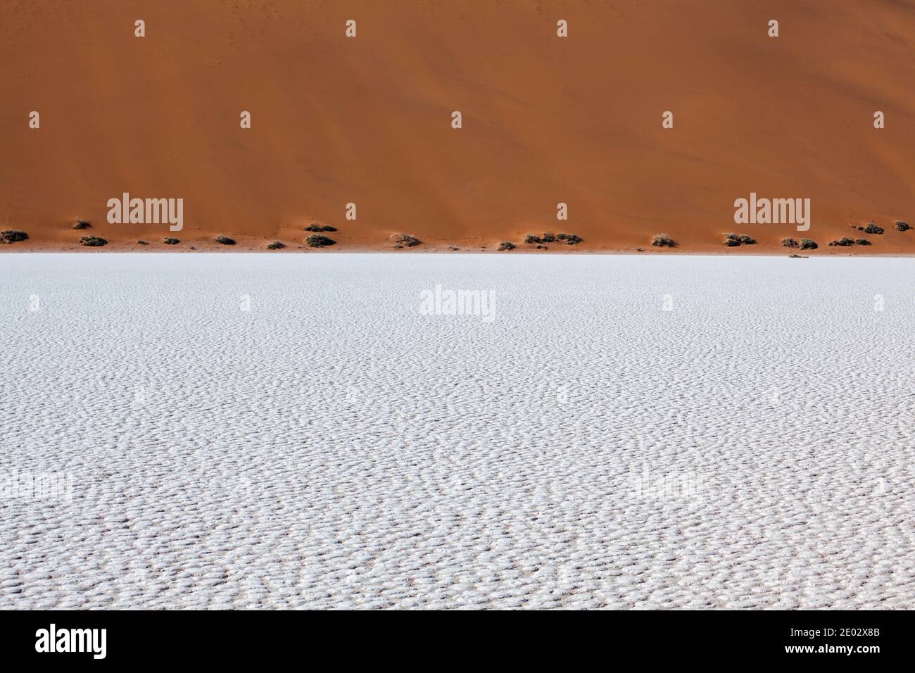 Parched ground in Deadvlei Pan, Namib Naukluft Park, Namibia Stock Photo