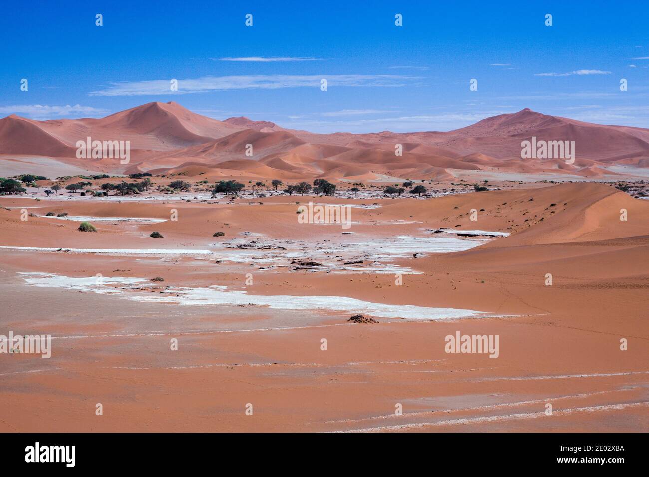 Dunes in Sossusvlei Area, Namib Naukluft Park, Namibia Stock Photo