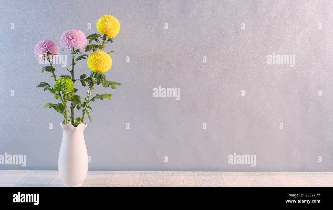 A white vase with yellow, pink and green dahlias on the table against white wall Stock Photo