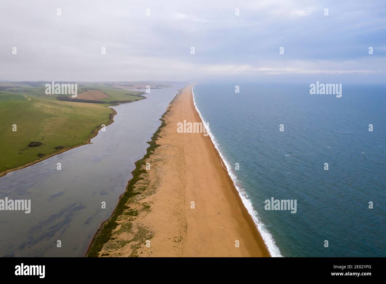 English fossils hires stock photography and images Alamy