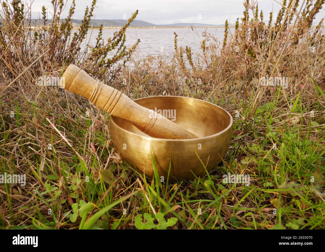 Singing bowl placed on the grass with the pond in the background Stock Photo