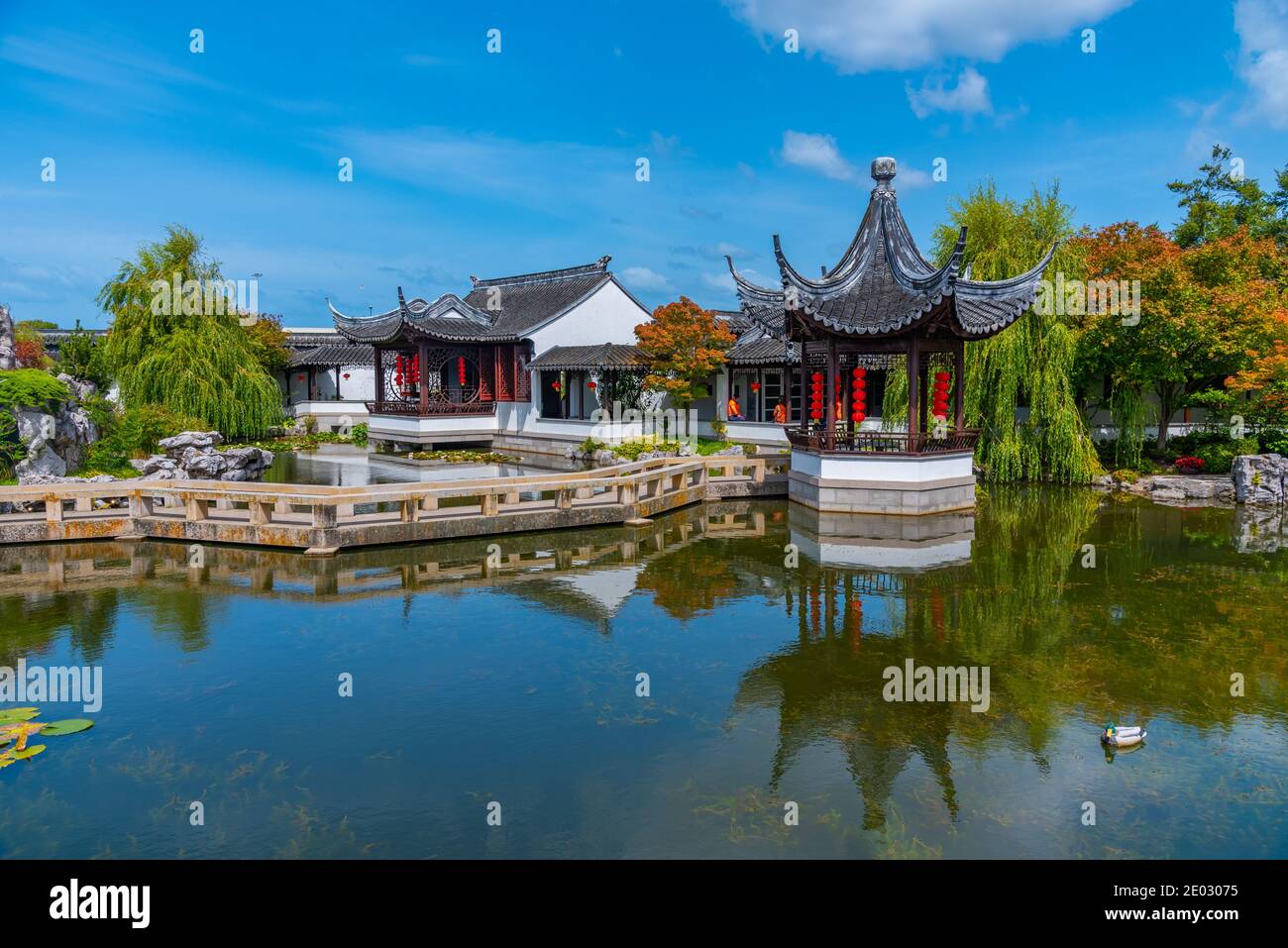 Lan Yuan Chinese garden in Dunedin, New Zealand Stock Photo Alamy
