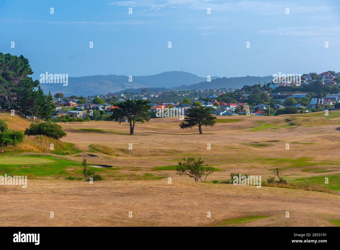 Residential houses in Dunedin, New Zealand Stock Photo Alamy