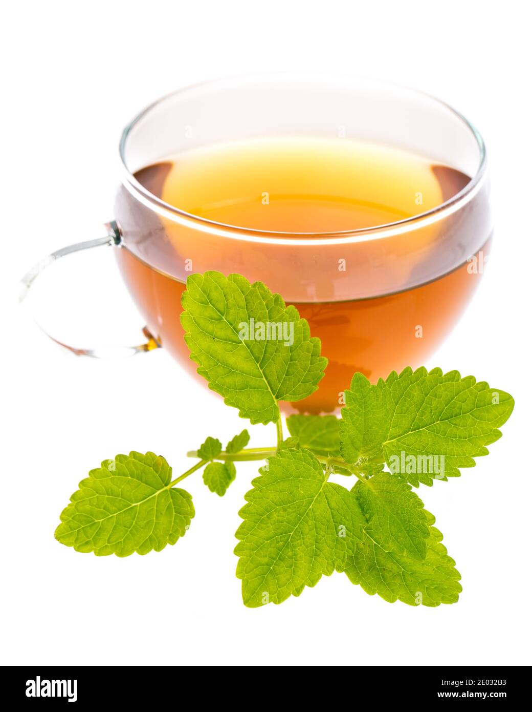 hot melissa (Melissa officinalis) tea isolated on white background Stock Photo