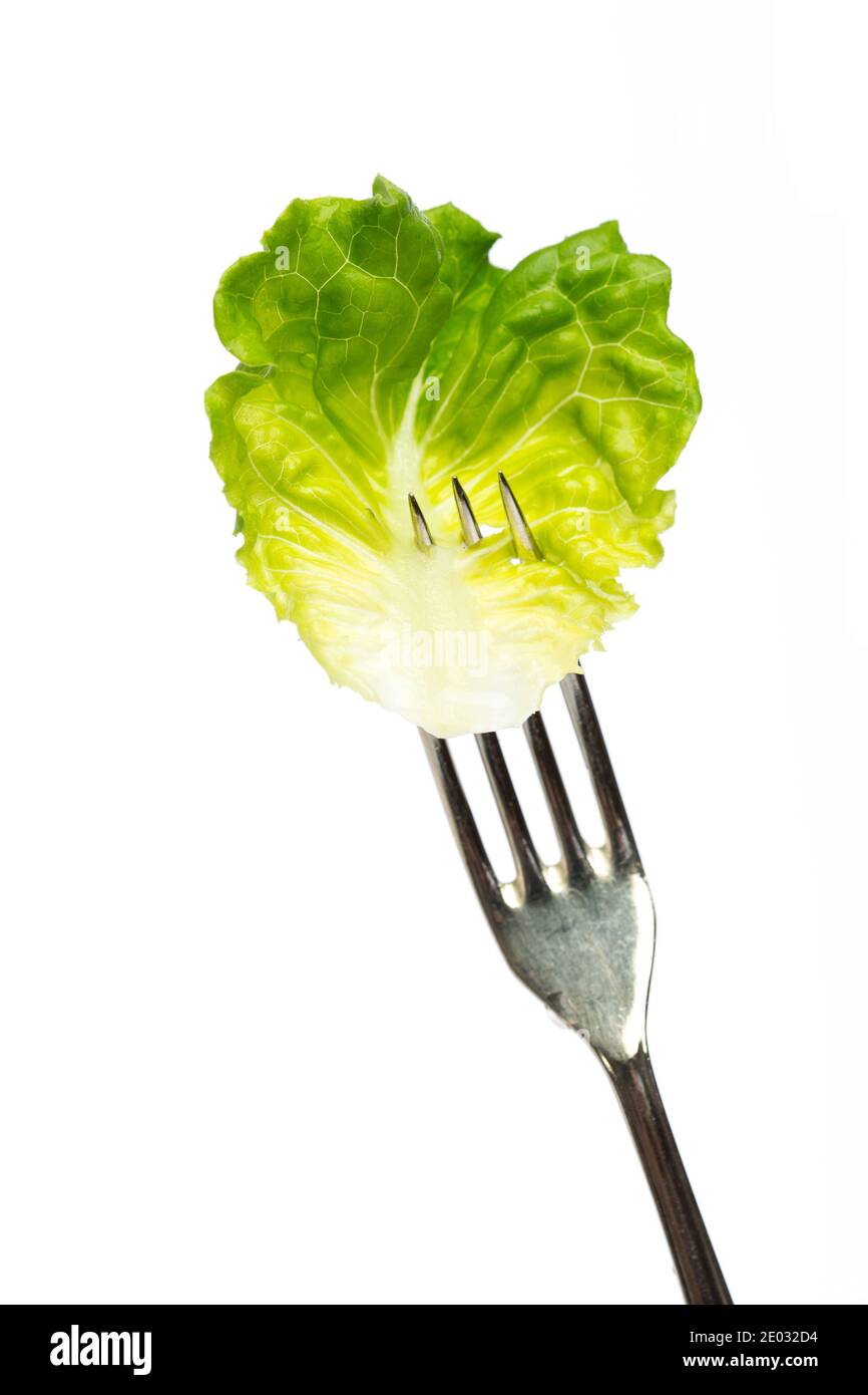 Leaf of lettuce on a fork Stock Photo