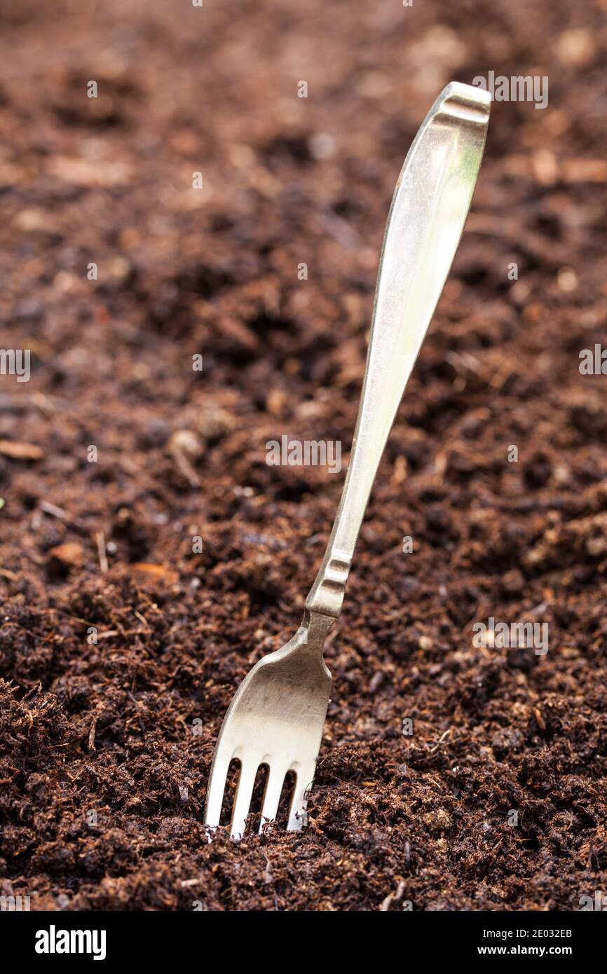 Old fork stuck in fresh garden soil Stock Photo Alamy