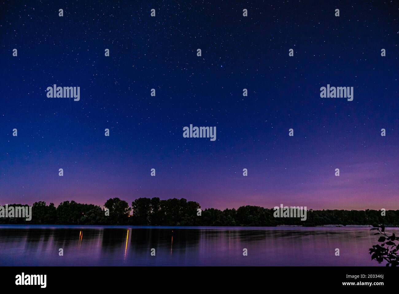 Trees reflecting on peaceful lake under beautiful starry sky at night ...