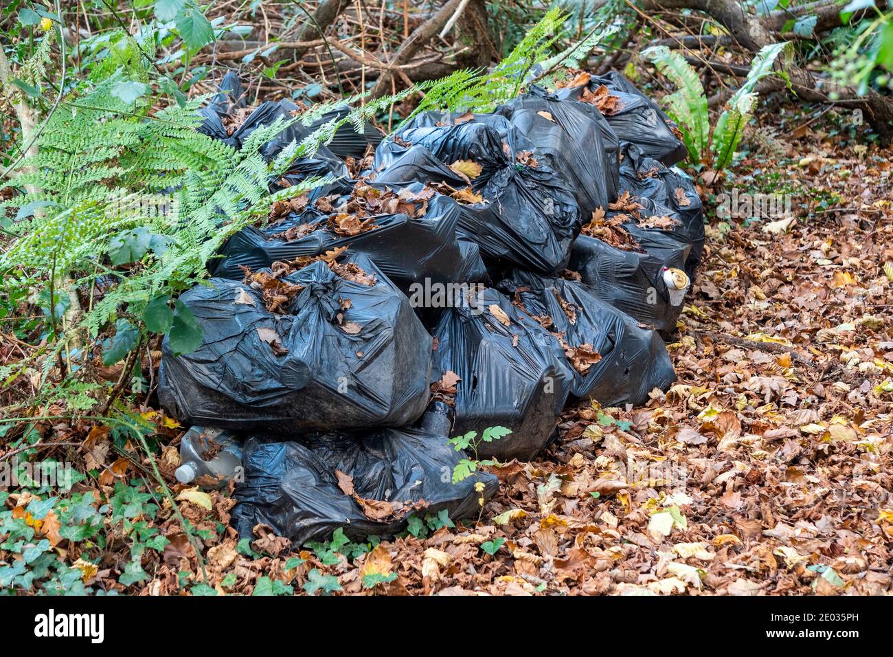 Black plastic rubbish bags of waste litter containing plastic bottles and cups along with paper packaging with bags and tin cans left as careless garb Stock Photo