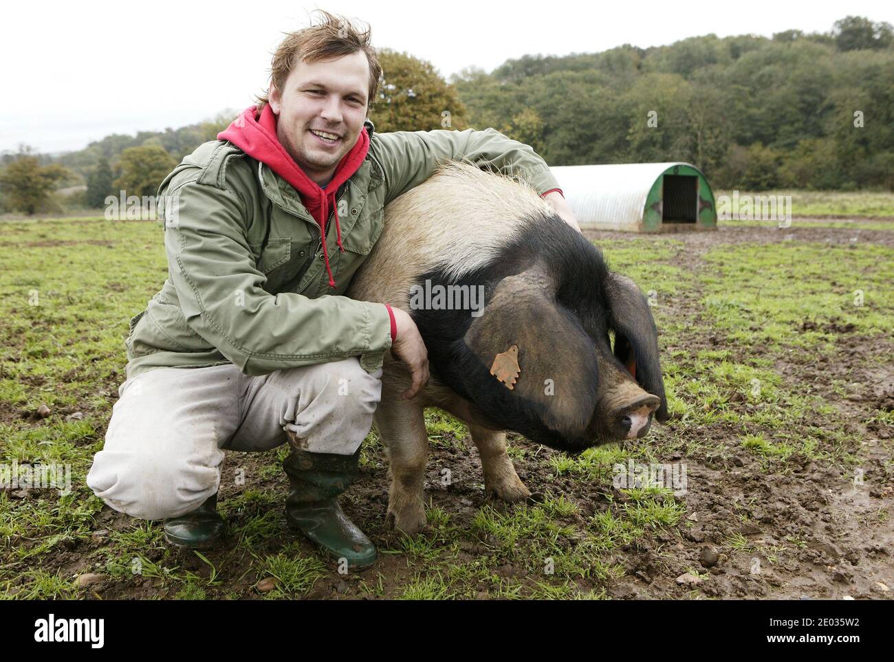 Jimmy Doherty next to a pig at Jimmy's Farm, Wherstead, Ipswich Stock