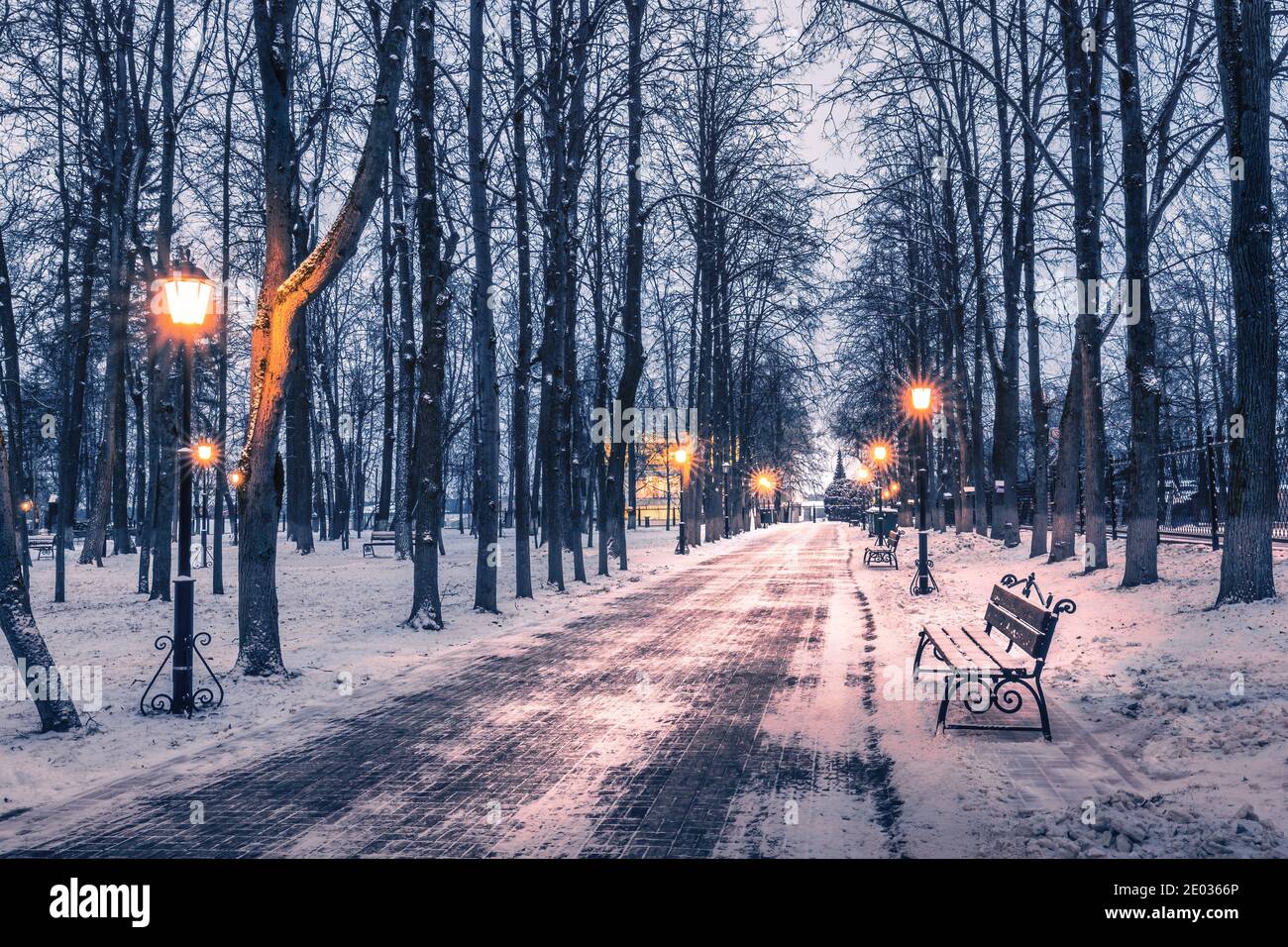 Winter park at night with lanterns, benches and trees covered with a ...