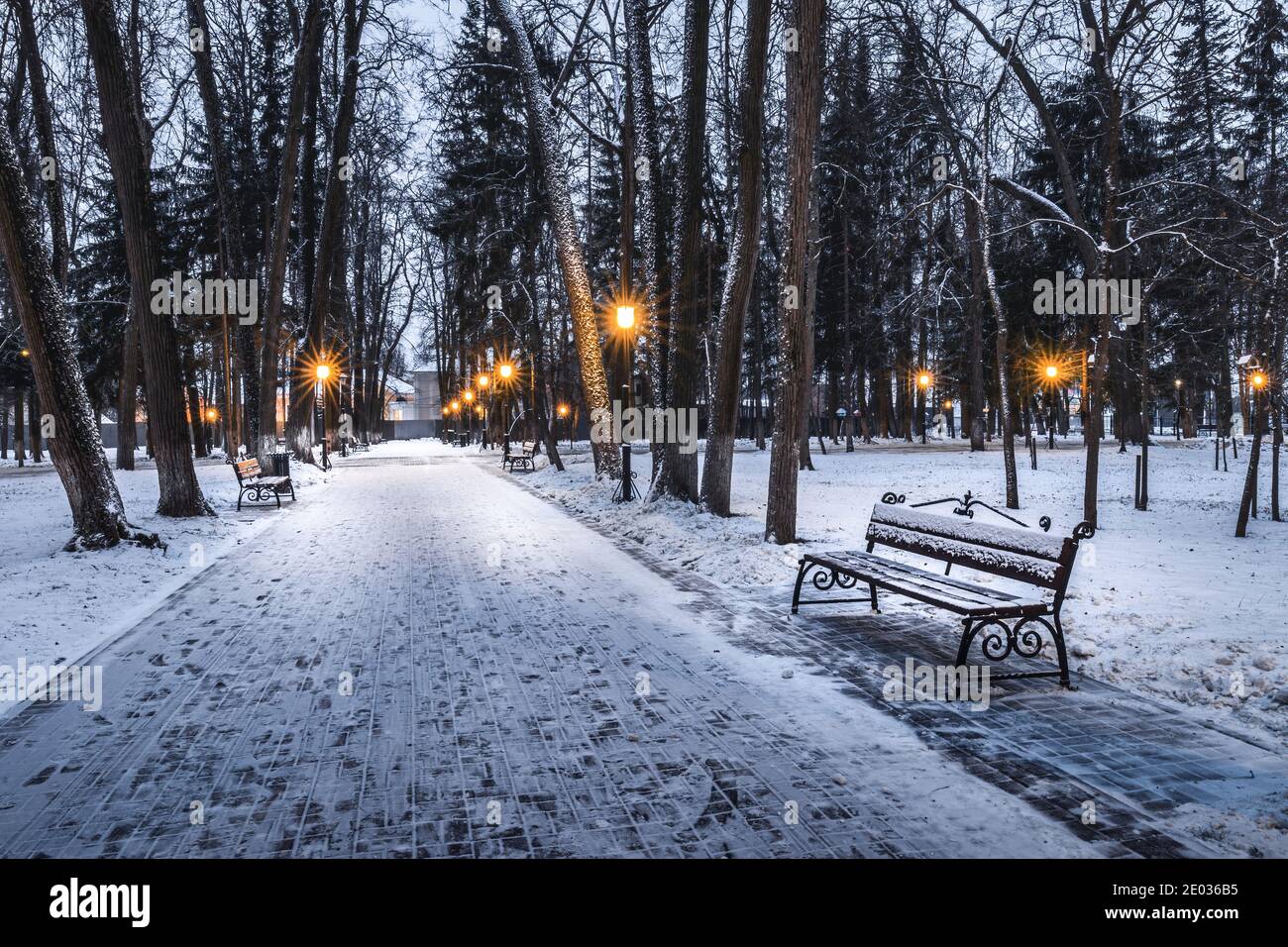 Winter park at night with lanterns, benches and trees covered with a ...