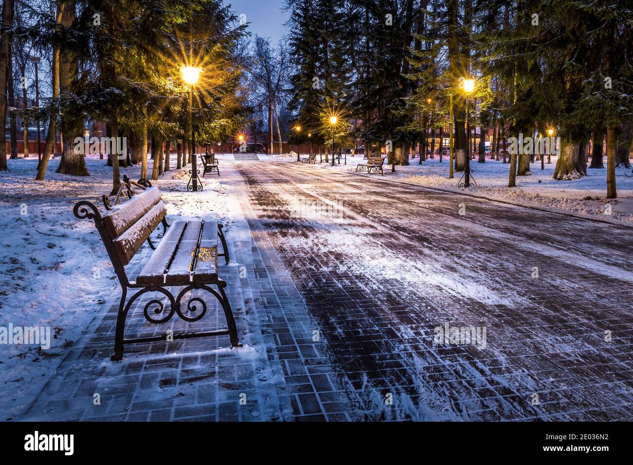 Winter park at night with lanterns, benches and trees covered with a ...