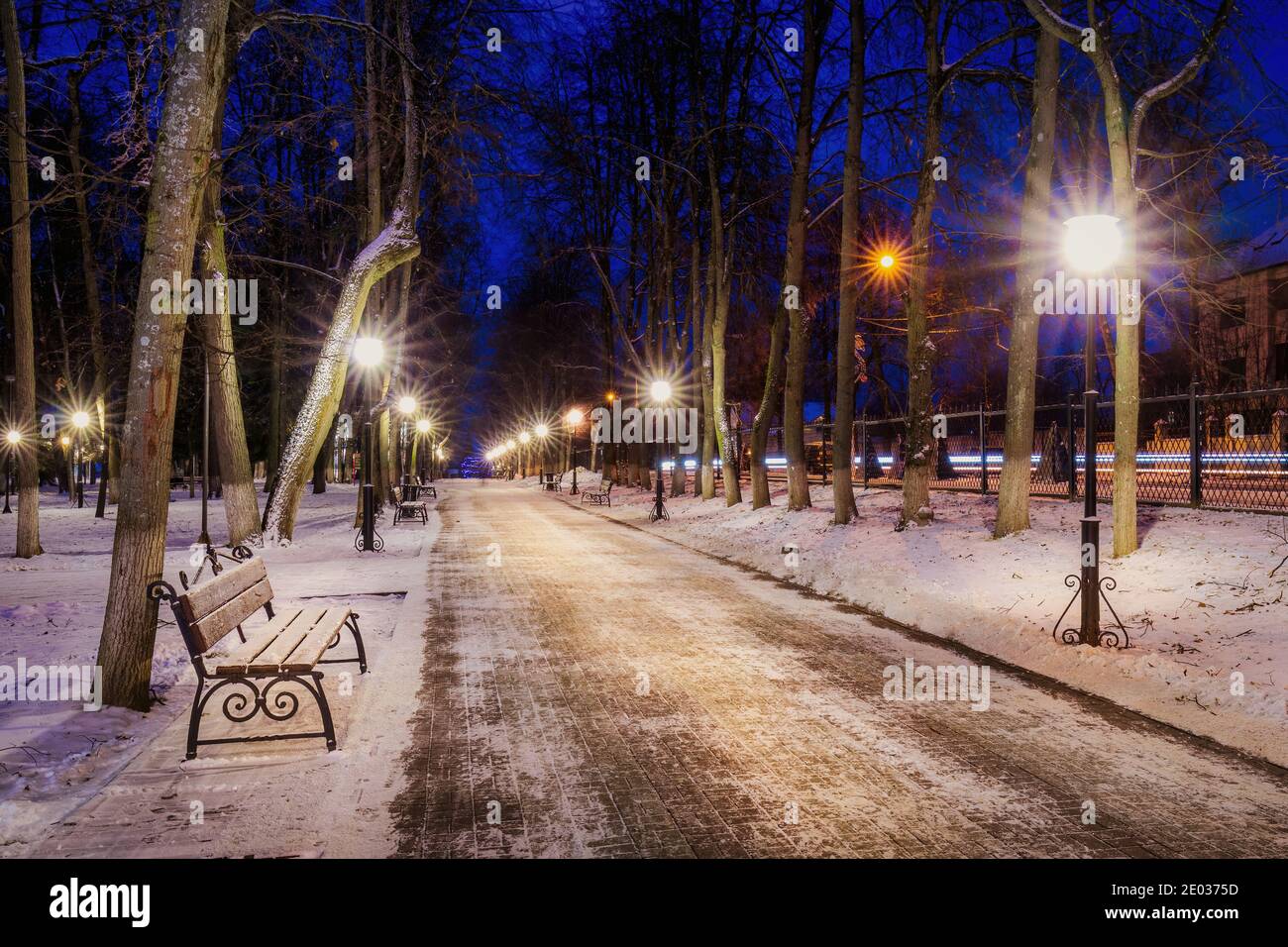 Winter park at night with lanterns, benches and trees covered with a ...