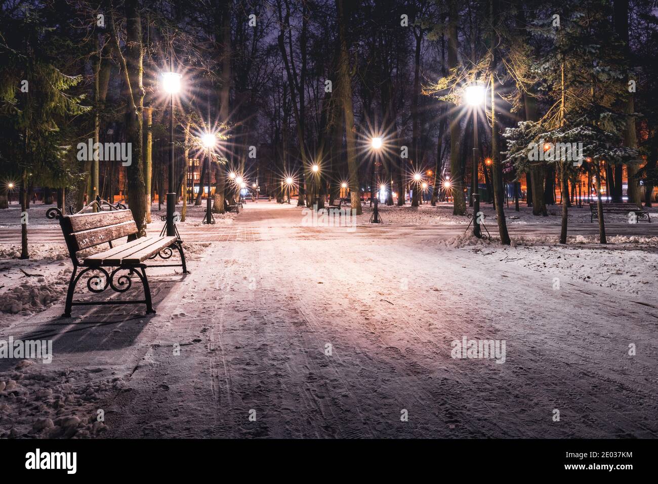 Winter park at night with lanterns, benches and trees covered with a ...