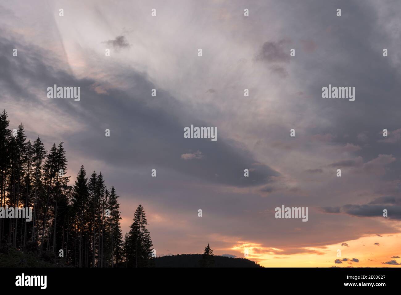 sunset on Carezza Lake in Trentino Alto Adige in Italy Stock Photo
