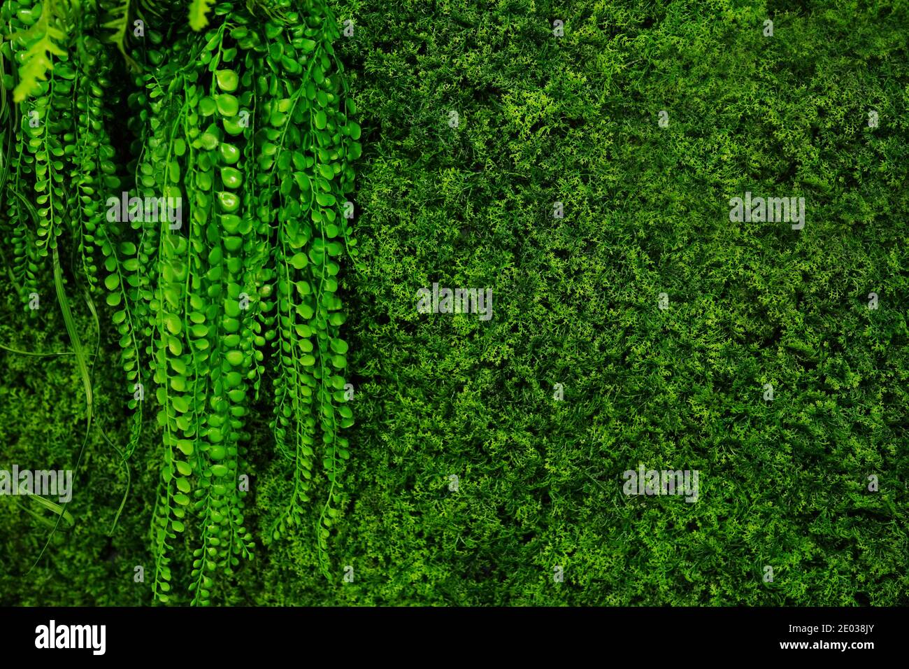 Seamless pattern field plants hi-res stock photography and images - Alamy