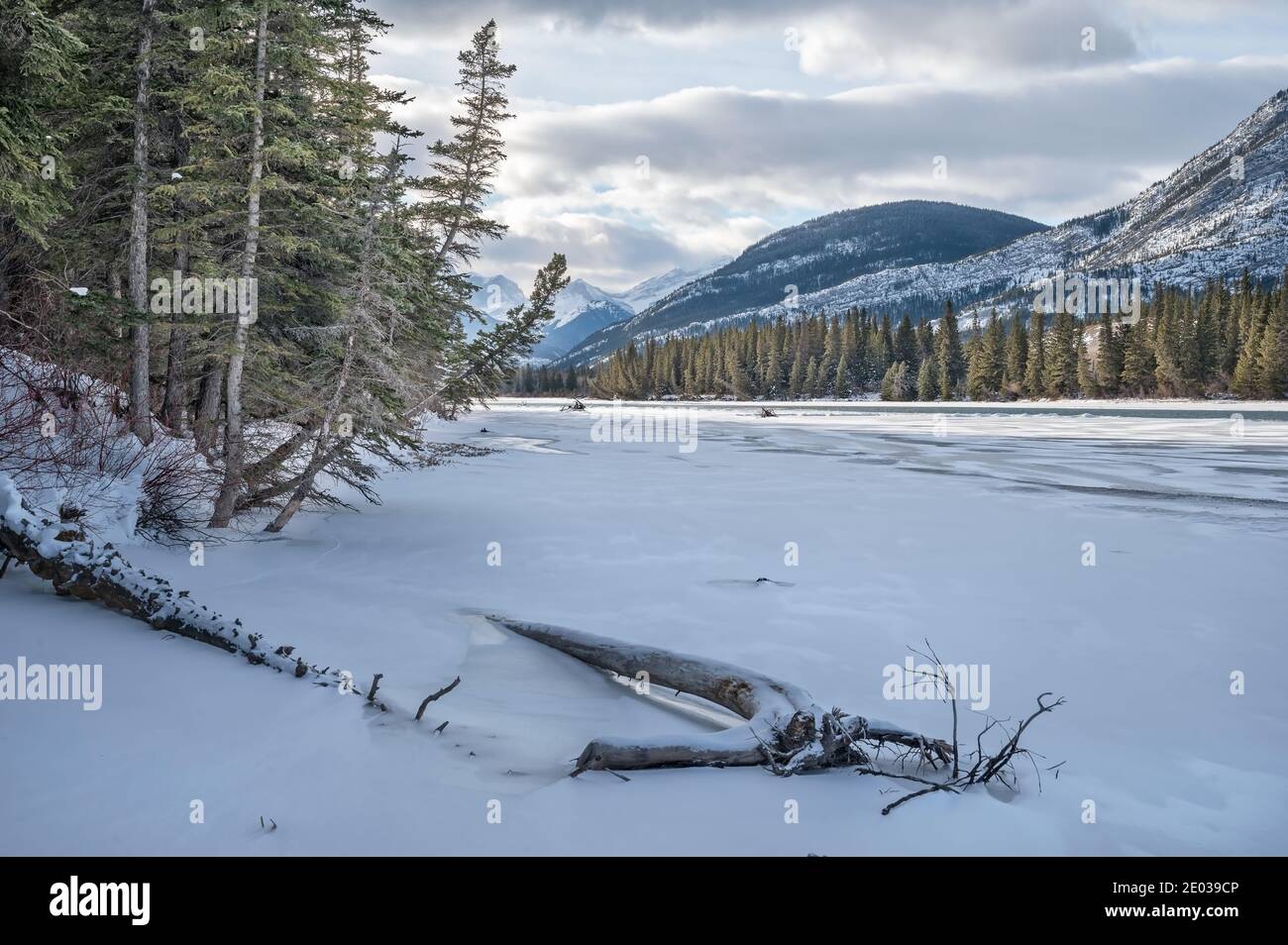 Winter view of the Bow River in Bow Valley Provincial Park, Alberta