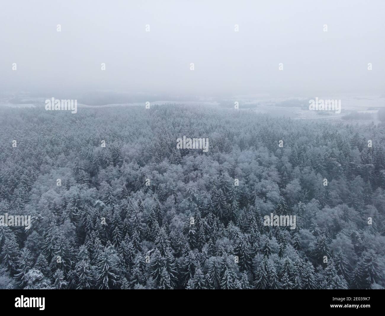 Winter wonderland forest aerial view. Snow covered Winter landscape. Spruce forest European Green Deal.  Top down birds eye view. Winter background. Stock Photo