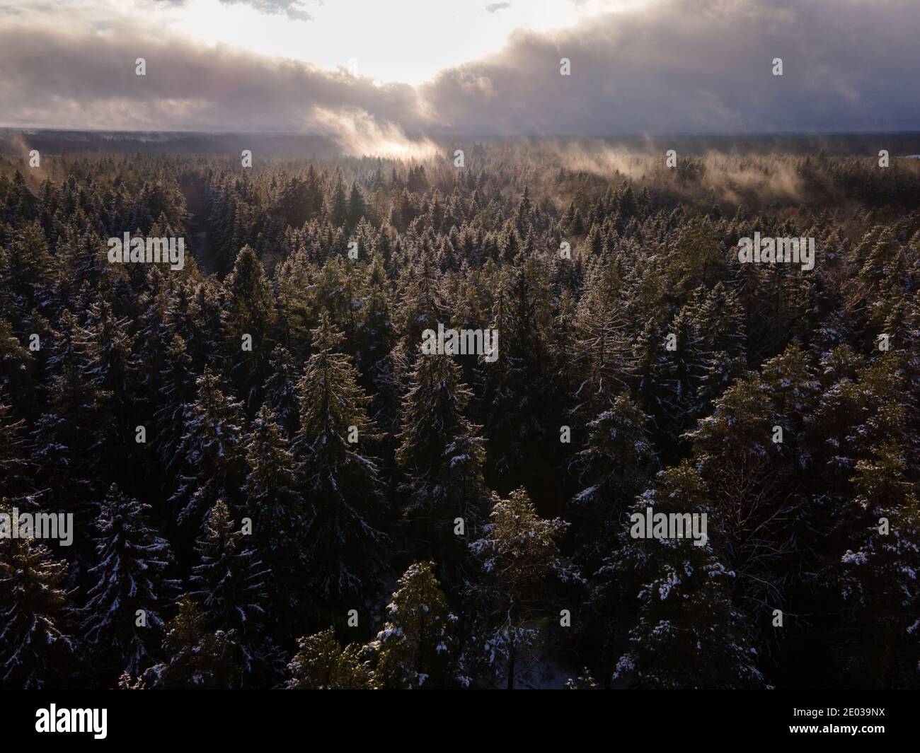 Winter wonderland morning mist fog over the forest aerial view . Snow covered Winter landscape. Spruce forest European Green Deal. Mystical snow Stock Photo