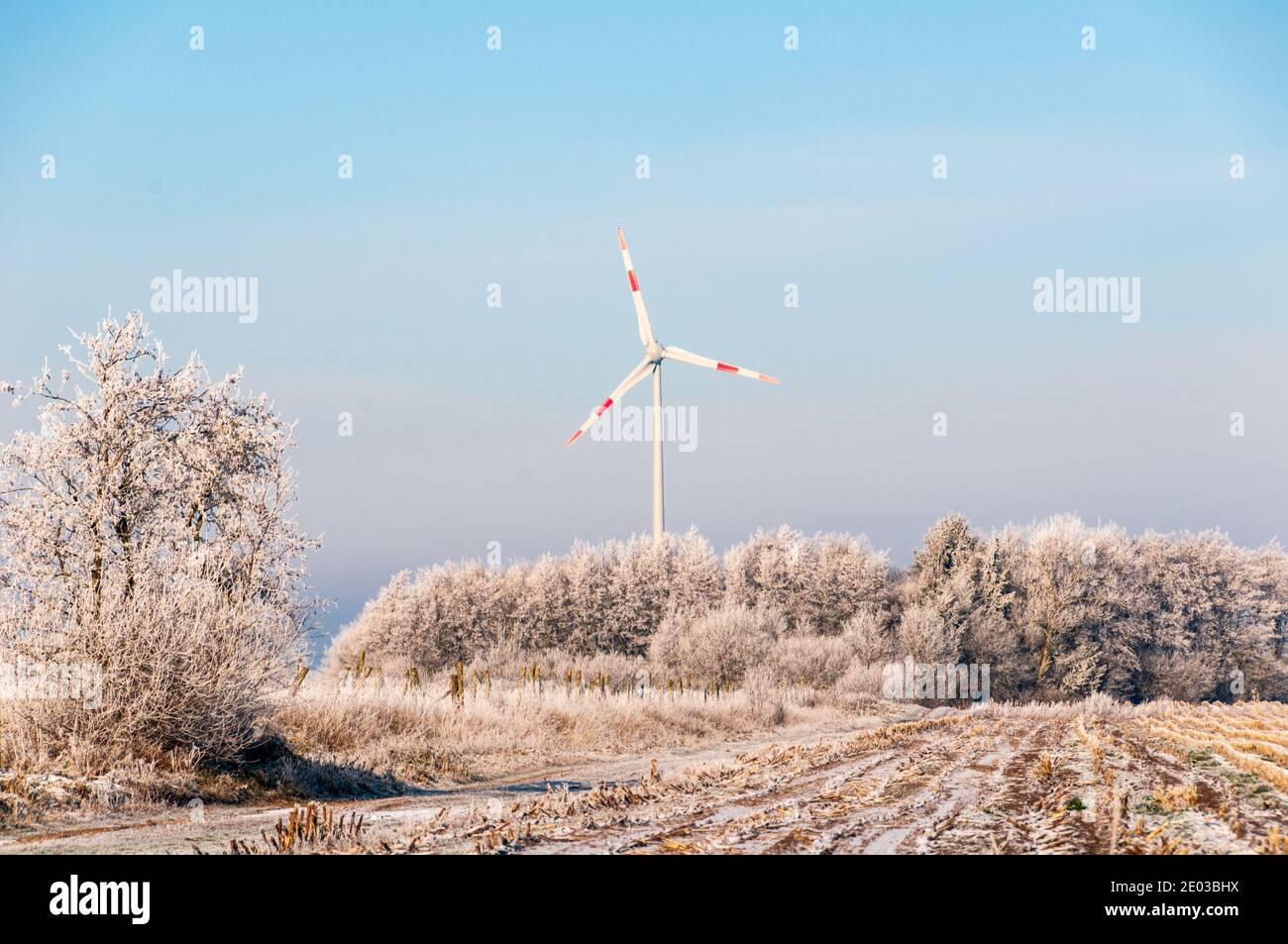 Ein Windrad im Winter auf einem verschneiten Acker in Schleswig-Holstein Stock Photo