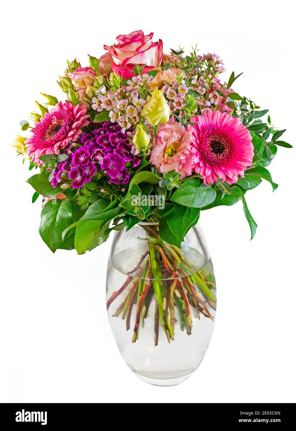 Closeup of an isolated flower arrangement in a glass vase Stock Photo