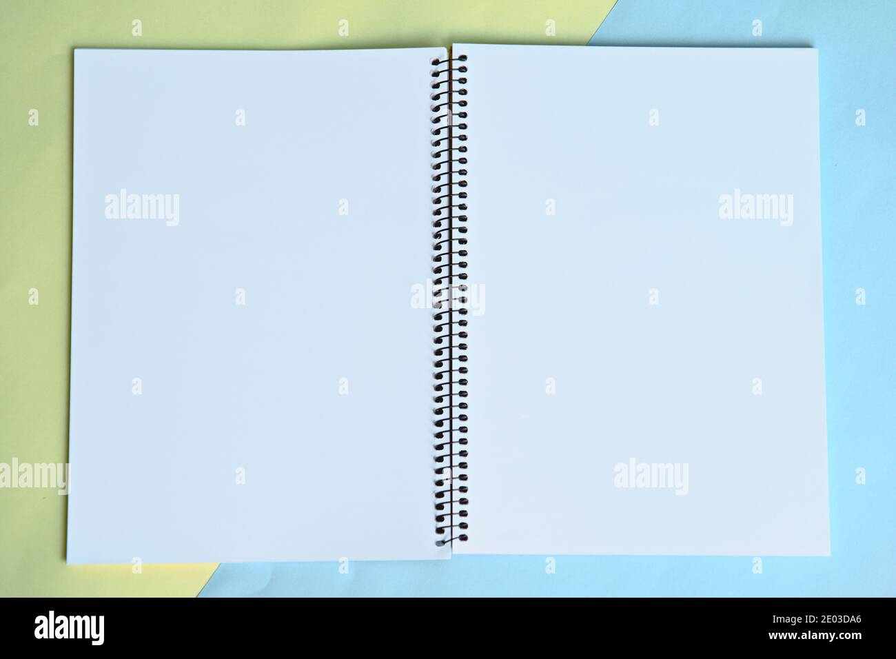 Open spiralbound blank notebook, realistic vector mockup, blueyellow