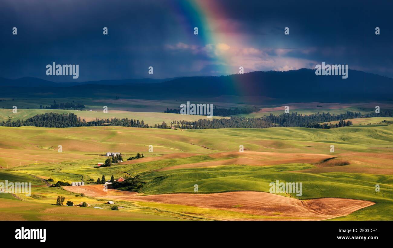 The Palouse is a region, which is located in the southeastern part of the state of Washington. This fertile farmland is a major agricultural area prod Stock Photo