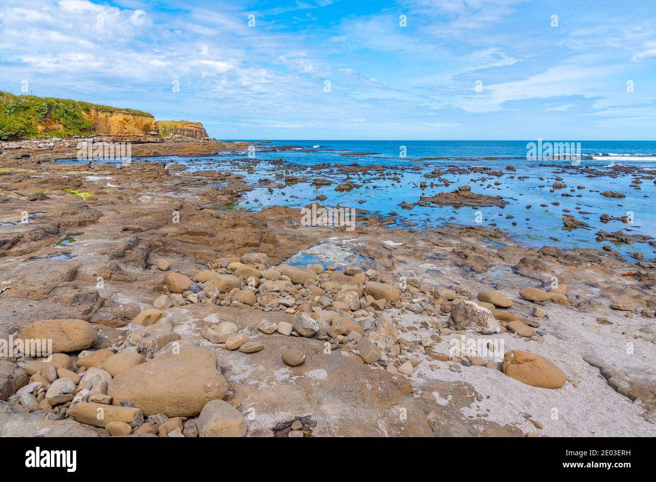 Petrified forest at Curio Bay in New Zealand Stock Photo