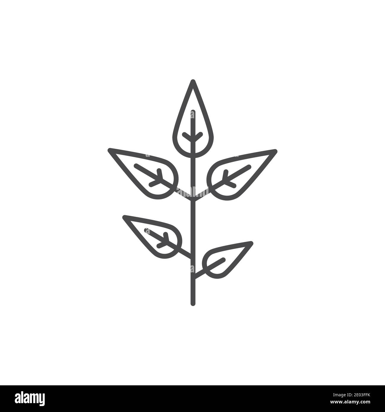 Matcha plant color line icon. Pictogram for web page, mobile app, promo ...