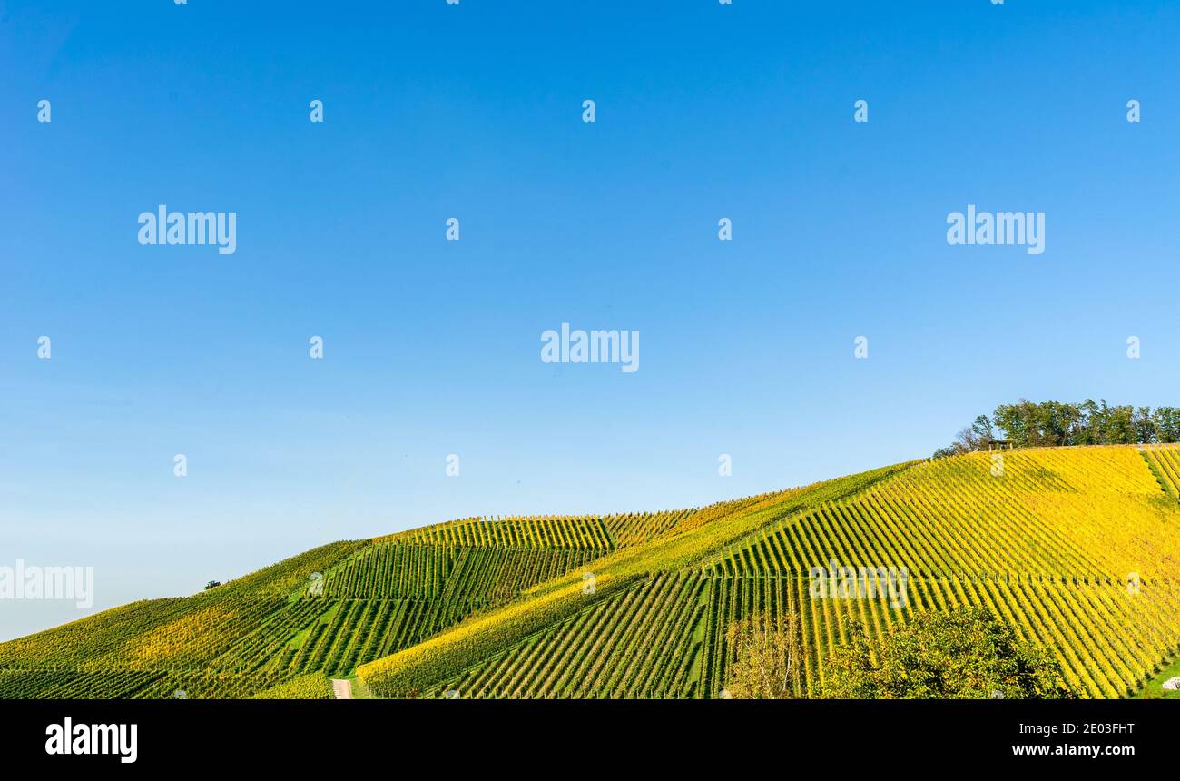 Aerial shot of grape fields on hillside under blue sky Stock Photo