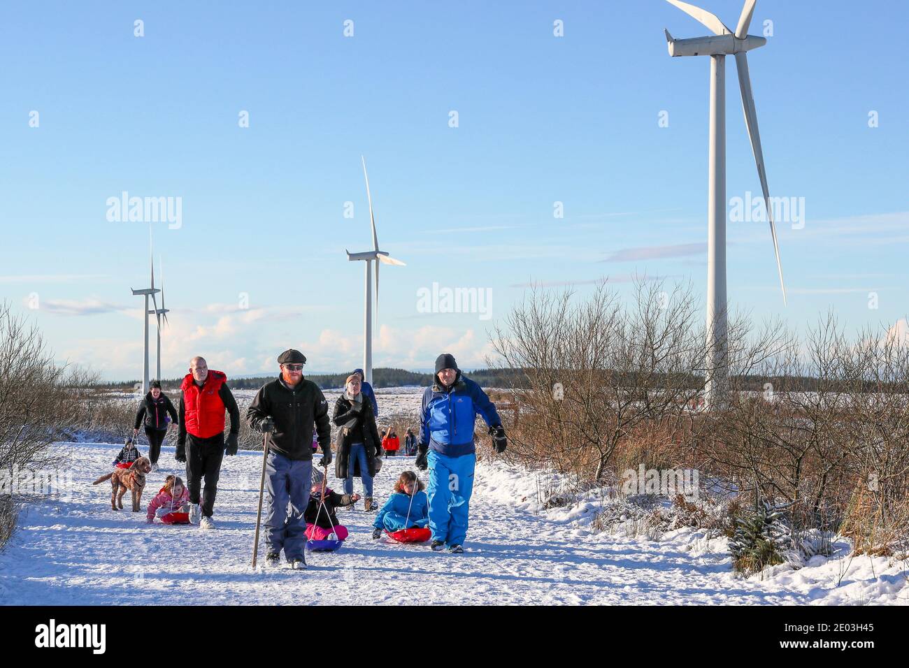 Whitelee Windfarm, Eaglesham Moor, near Glasgow, UK. After a heavy overnight snowfall, many people took to the access roads about Whitelee Windfarm, the largest in Europe, to get some exercise and still maintain safe social distancing. Whitelee is on the south side of Glasgow city on the edge of Eaglesham Moor and is the site for 215 wind turbines. Credit: Findlay/Alamy Live News Stock Photo