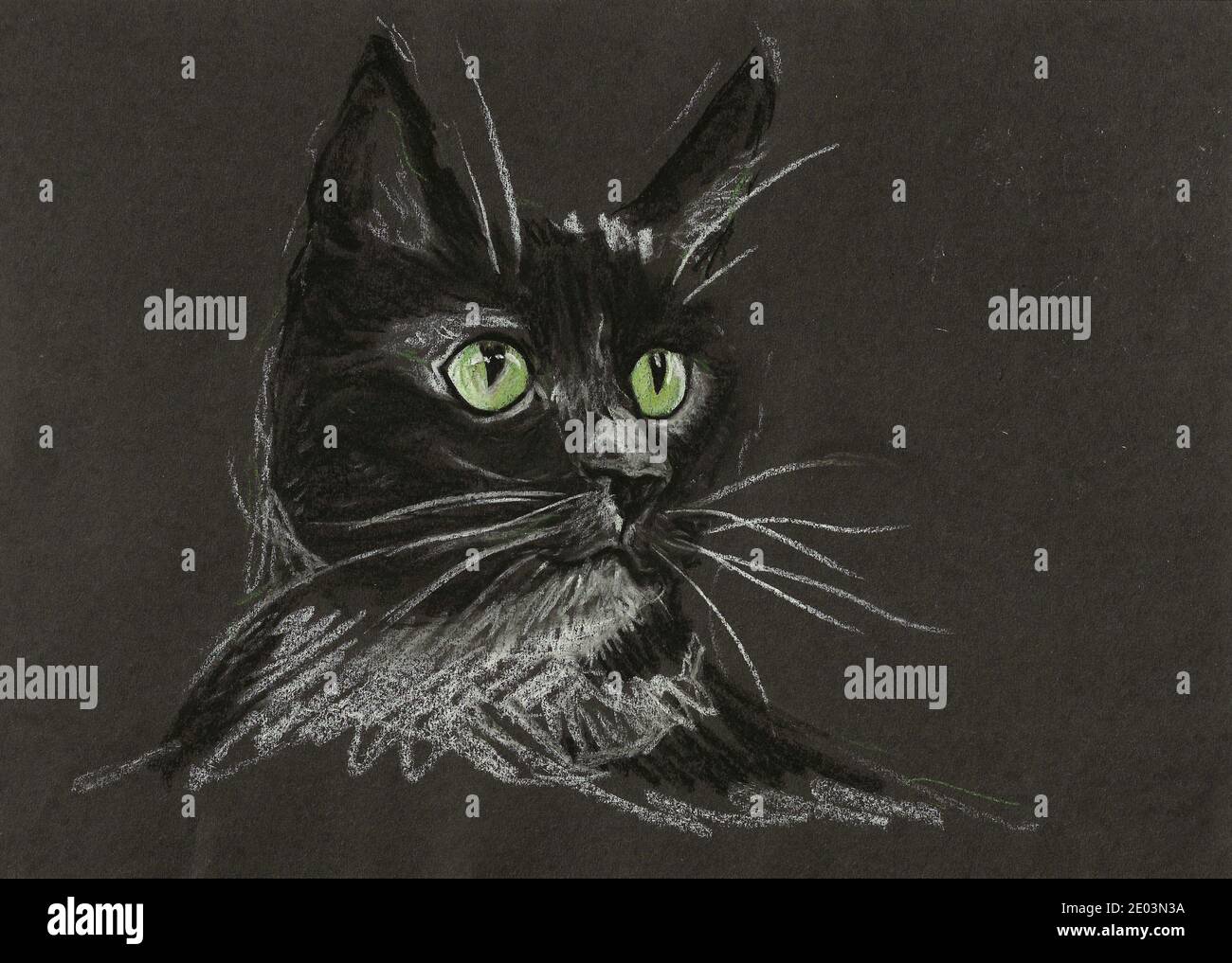 A colored pencil sketch portrait of a cute black and white pet cat on ...