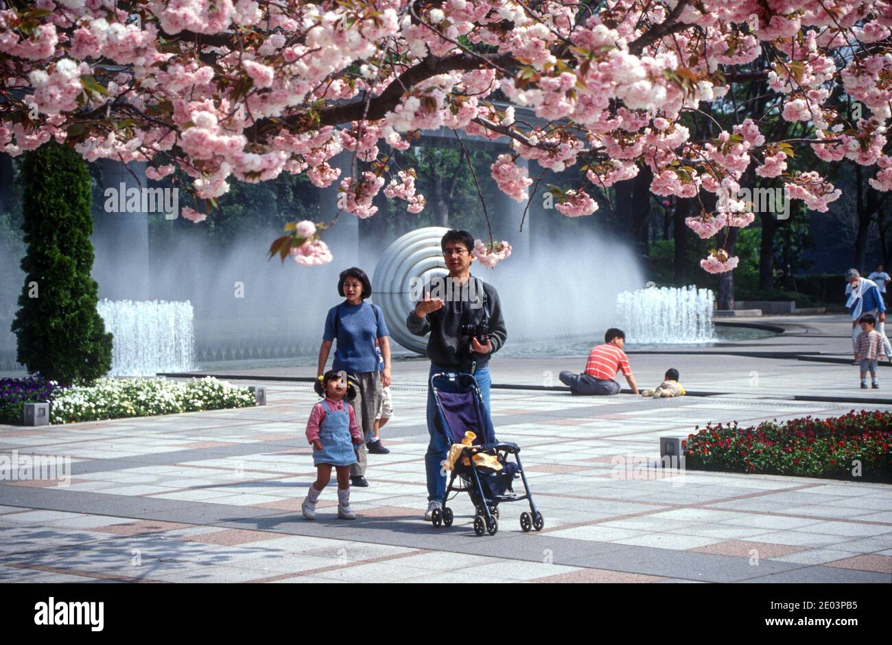 Family admiring the blooms, cherry blossom season, Tokyo, Japan, May 1998 Stock Photo