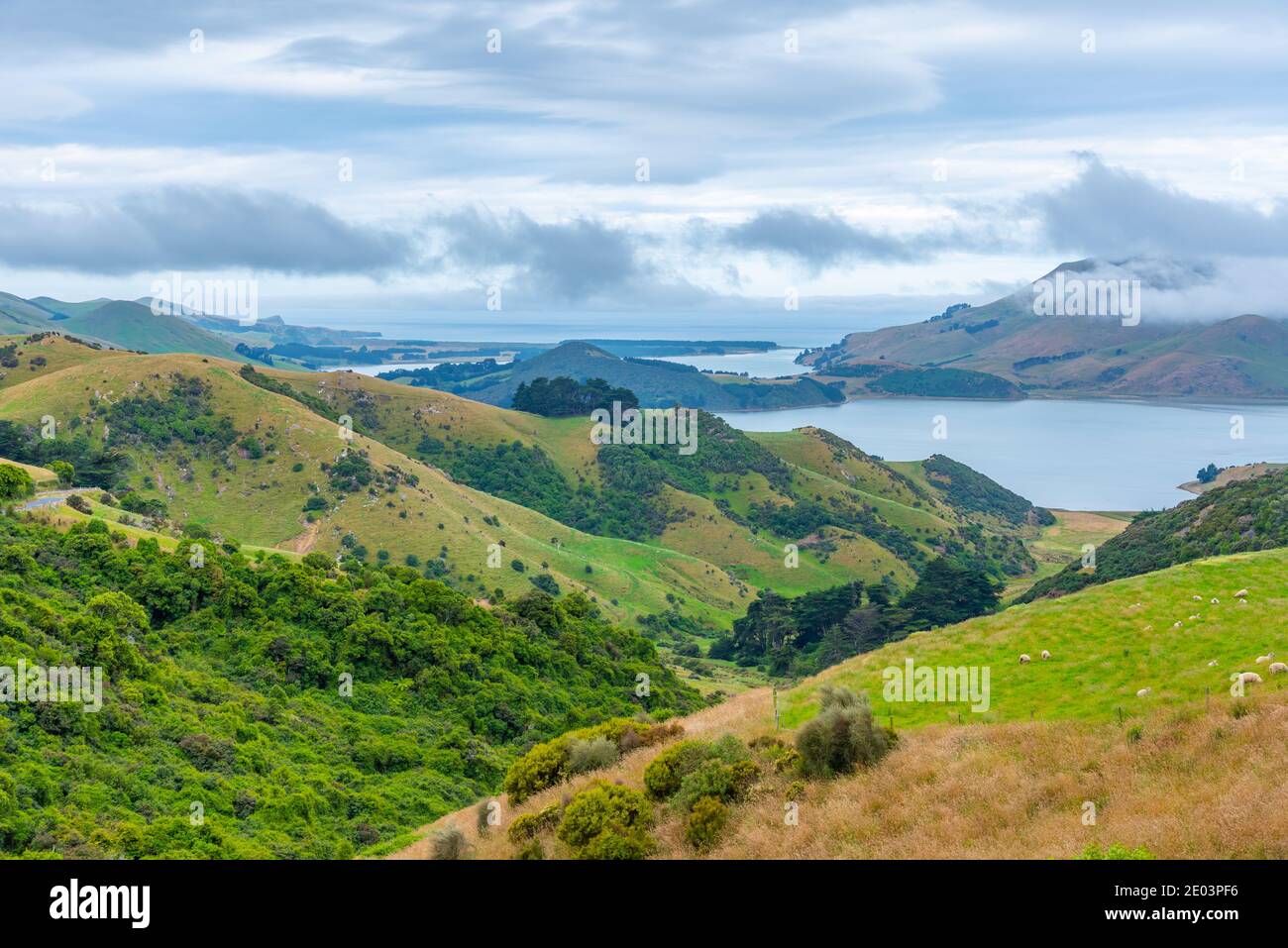 Landscape of Otago peninsula near Dunedin, New Zealand Stock Photo