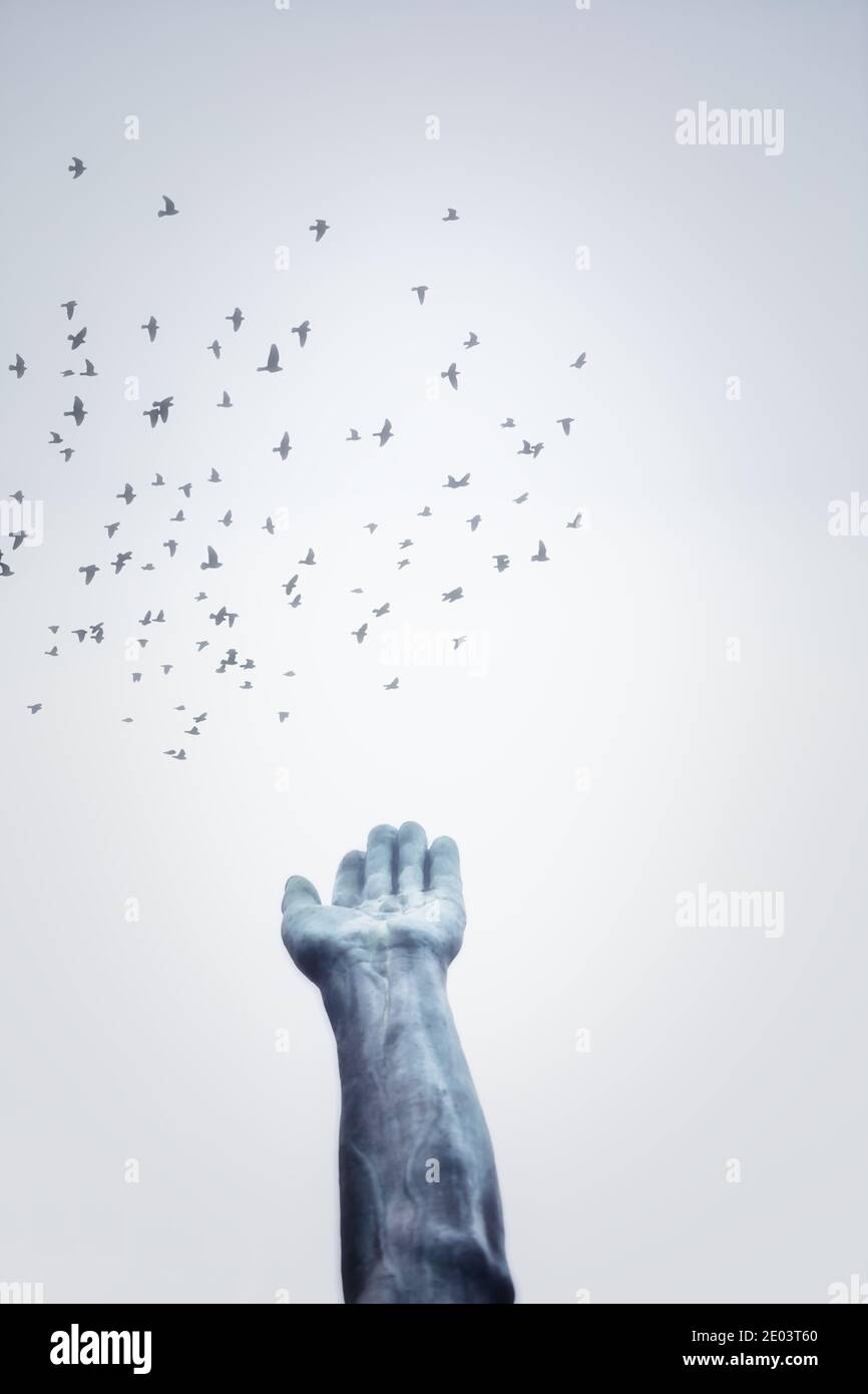 Hand reaching out to birds in sky. Concept of freedom and hope Stock Photo