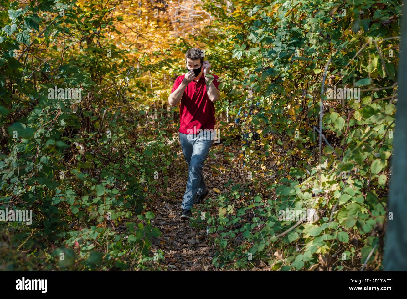 Middle age man adjusting face mask walking in woods Stock Photo