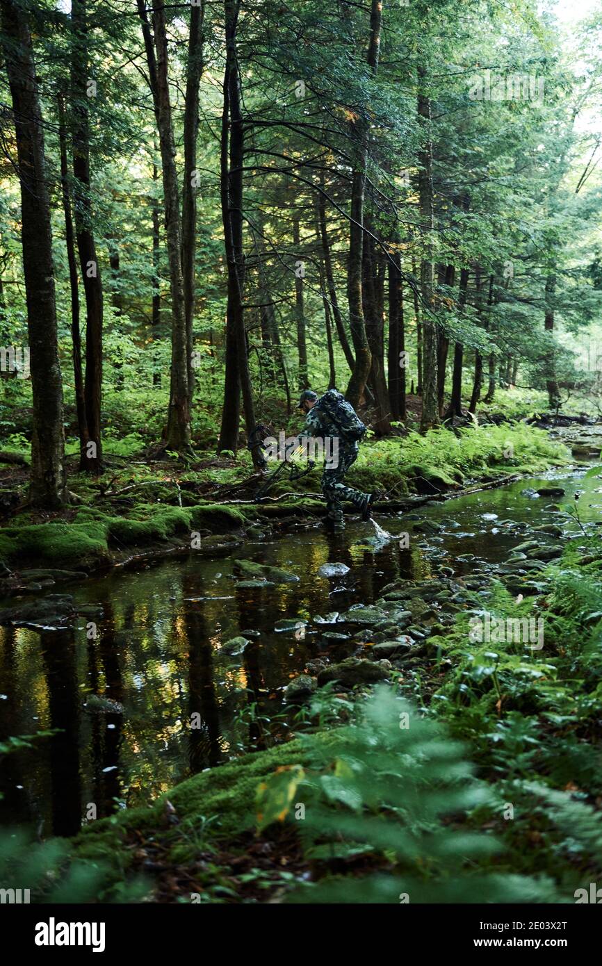 Kevin bear hunting in the Berkshires of Massachusetts Stock Photo Alamy